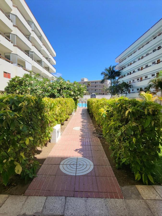 Las Camelias Apartments Playa del Ingles  Ngoại thất bức ảnh