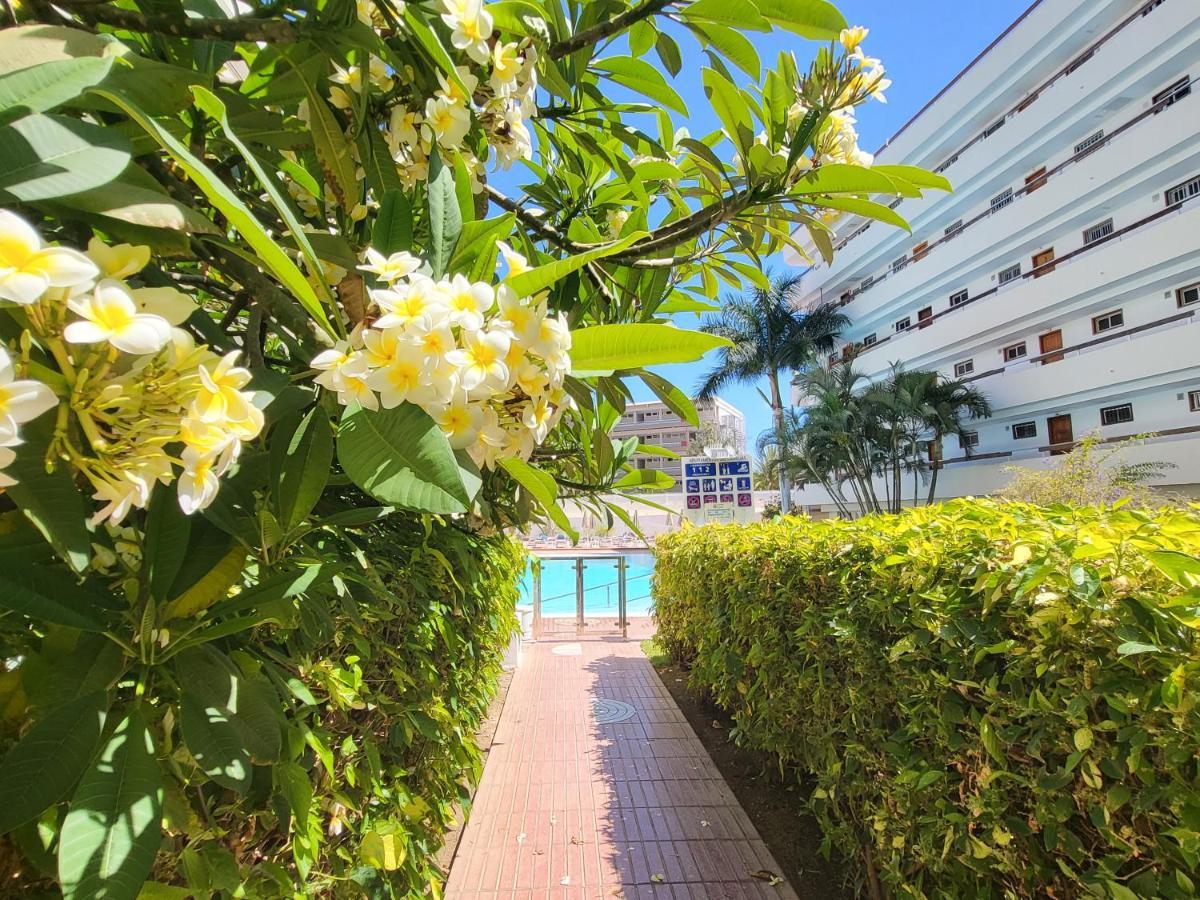 Las Camelias Apartments Playa del Ingles  Ngoại thất bức ảnh