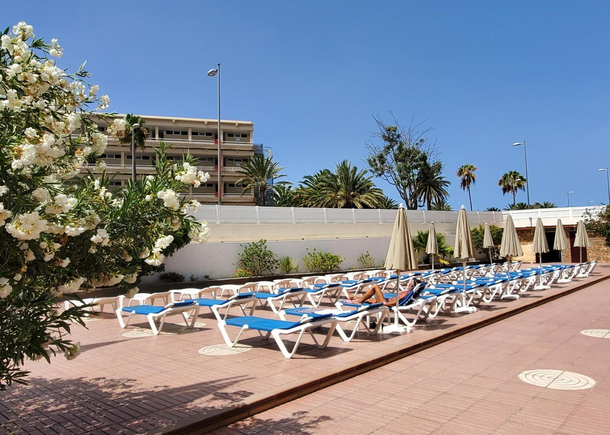 Las Camelias Apartments Playa del Ingles  Ngoại thất bức ảnh
