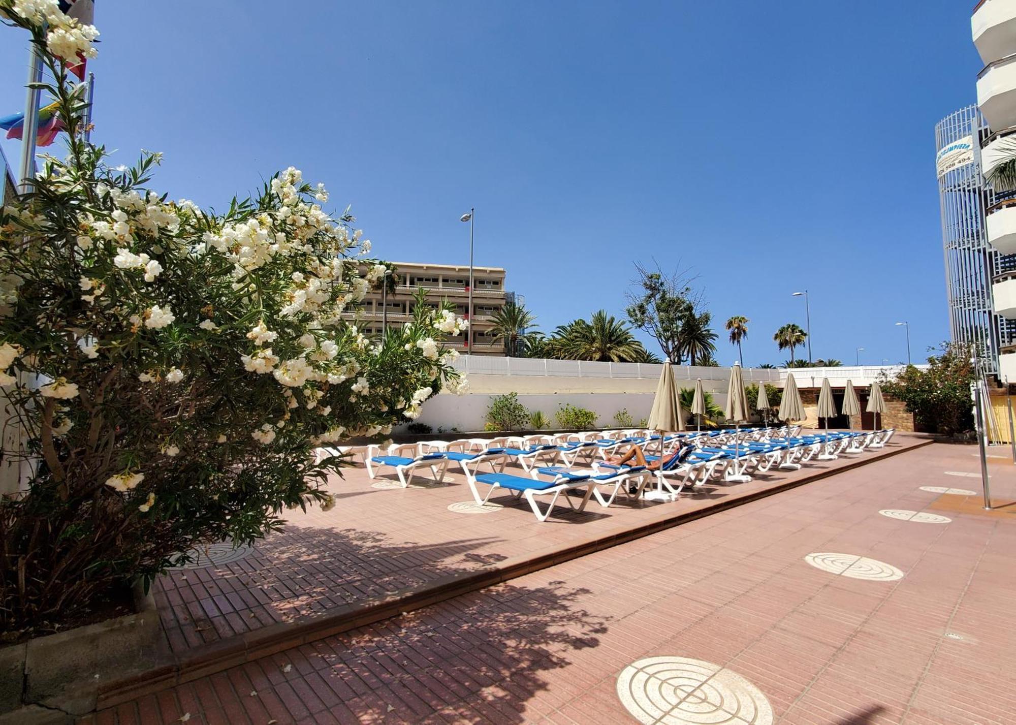 Las Camelias Apartments Playa del Ingles  Ngoại thất bức ảnh